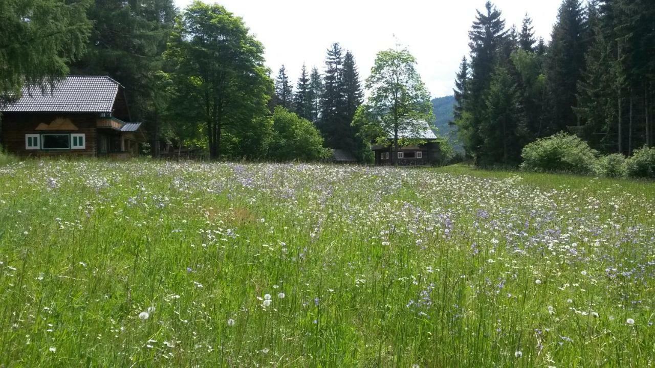 Vila Ferienhaeuser Stohl Mariapfarr Exteriér fotografie