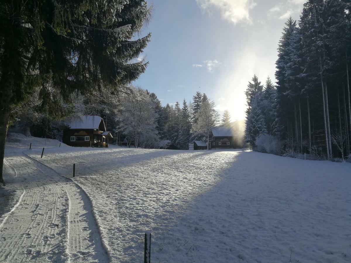 Vila Ferienhaeuser Stohl Mariapfarr Exteriér fotografie